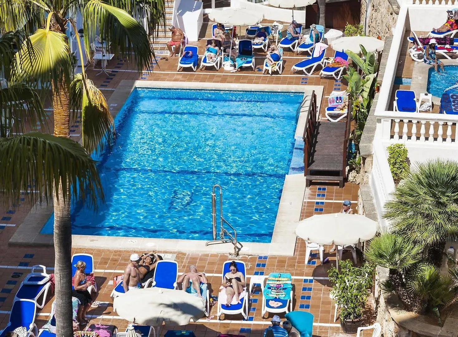 Globales Palmanova Palace (Adults Only) ホテル